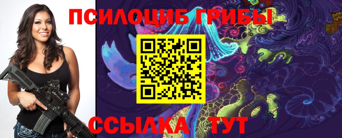 Вышний Волочёк  Псилоцибиновые грибы MAGIC MUSHROOMS  Галлюциногенные грибы ЛСД  Вход с VPN 